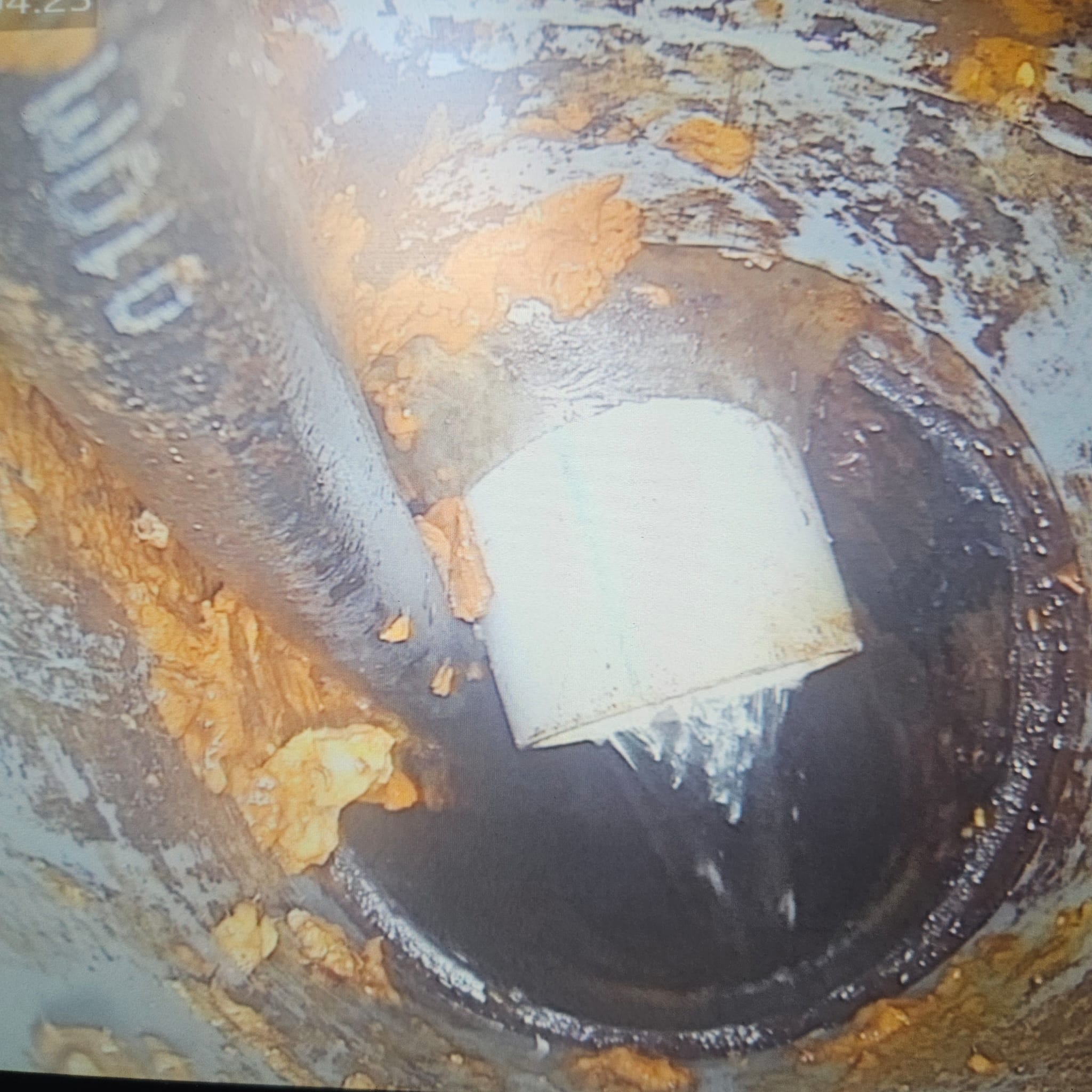 שורשים ומשקעים שחוסמים קו ביוב - צילום ממצלמת סיב אופטי לפני כרסום שורשים